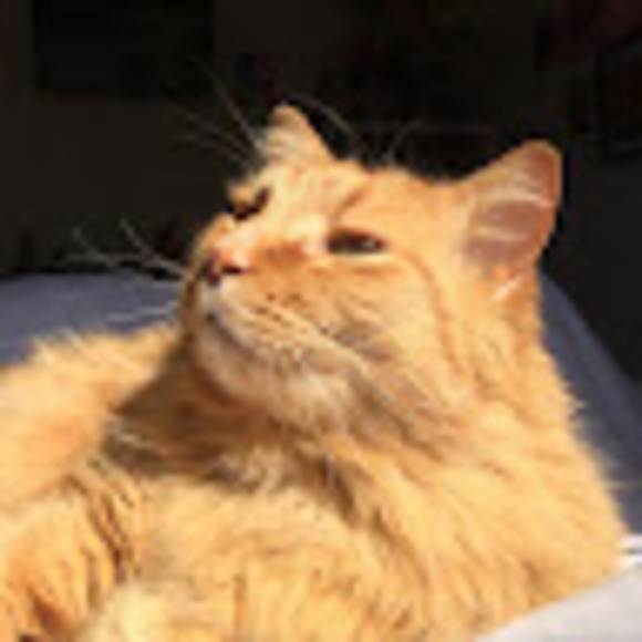 Meet your Posher, Matt - Picture 1 of 1